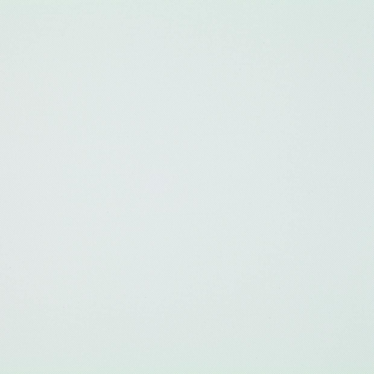 1-V01 biały